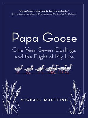 cover image of Papa Goose